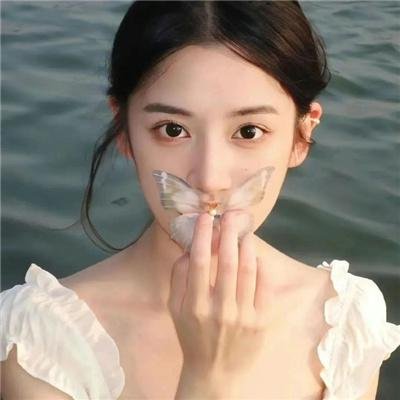 穿鞋子的贝壳马塞尔